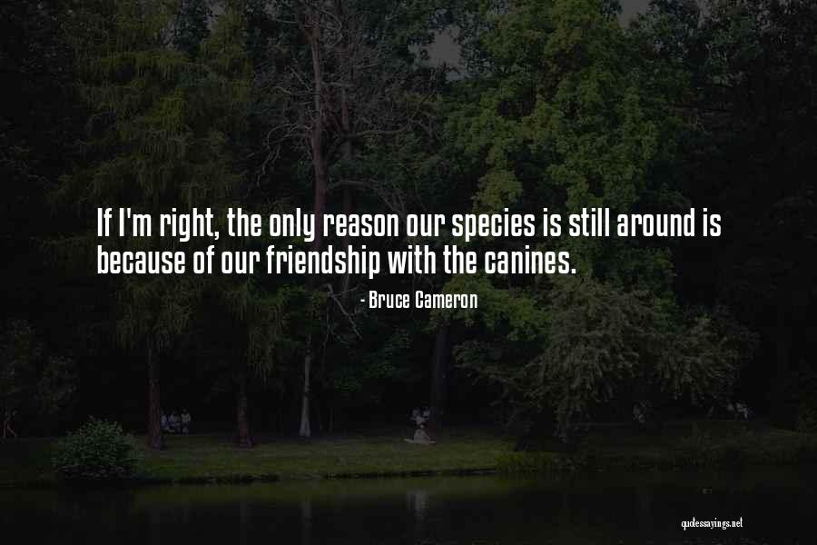 Aldees Fishers Quotes By Bruce Cameron Aldees Fishers Quotes By Bruce Cameron