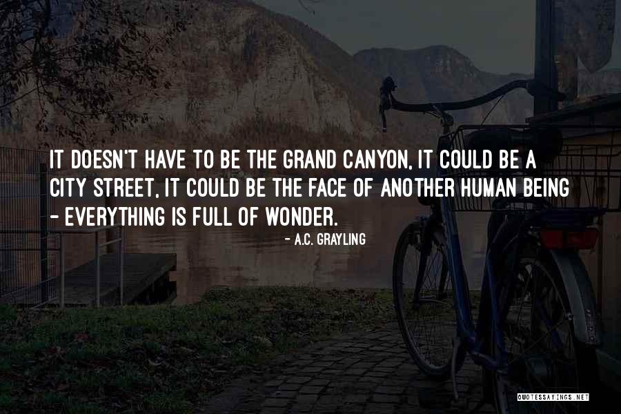 Aldermaston Court Quotes By A.C. Grayling Aldermaston Court Quotes By A.C. Grayling