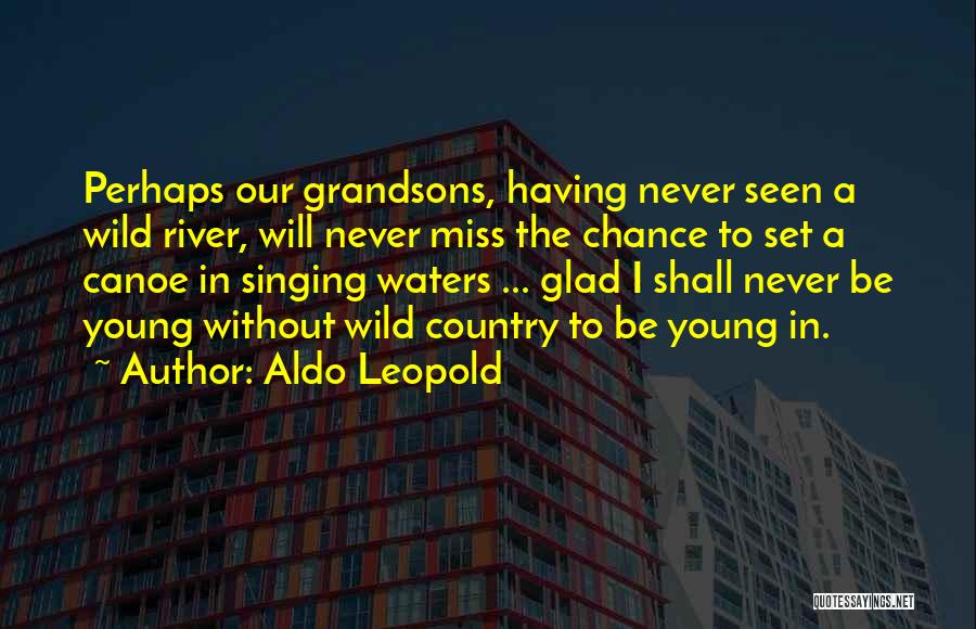 Aldo Leopold Quotes 1411550