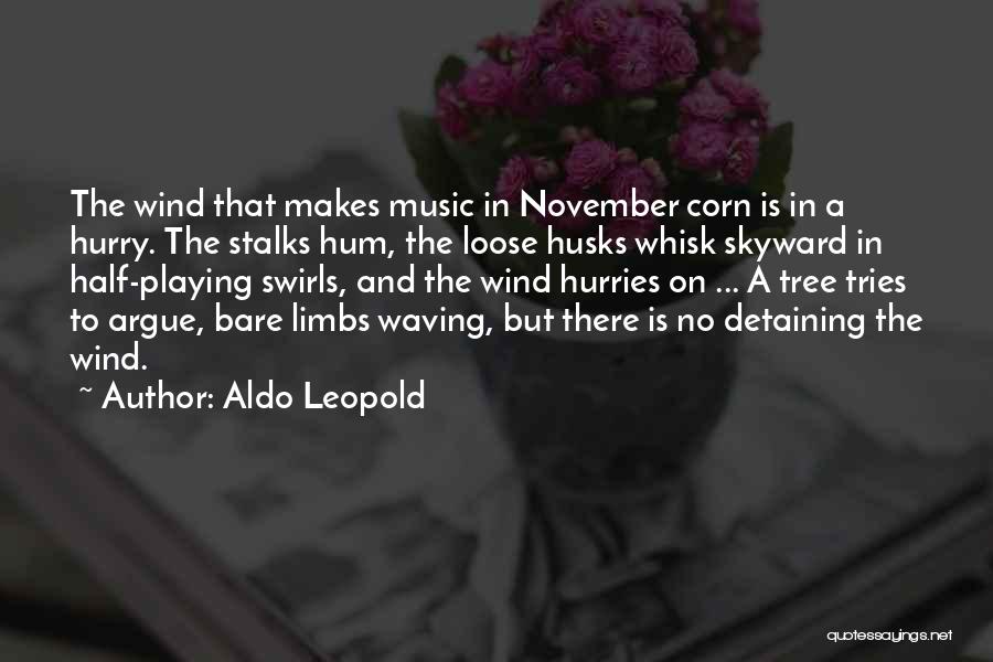 Aldo Leopold Quotes 220559