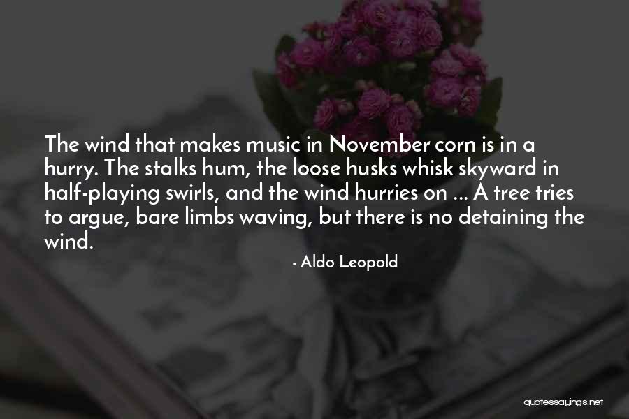 Aldo Leopold Quotes 220559