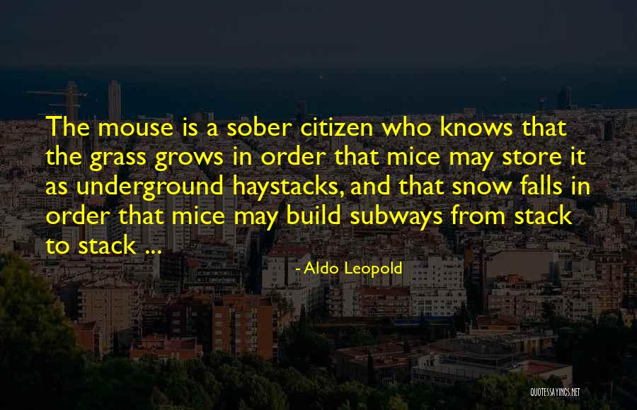 Aldo Leopold Quotes 2249240