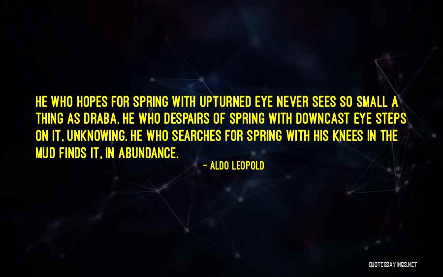 Aldo Leopold Quotes 482098