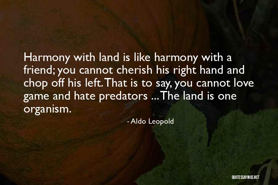 Aldo Leopold Quotes 602963