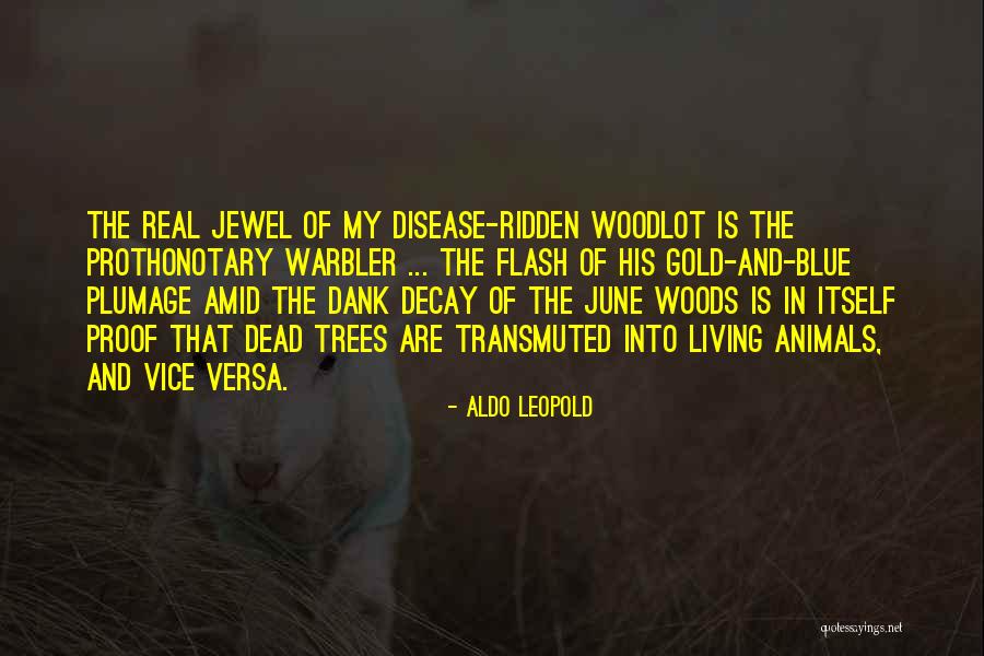 Aldo Leopold Quotes 709900