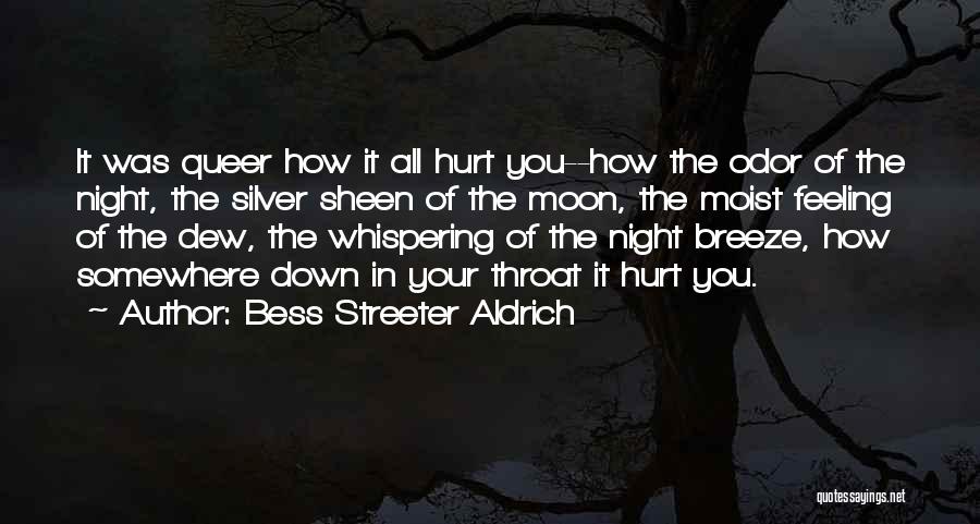 Aldrich Quotes By Bess Streeter Aldrich