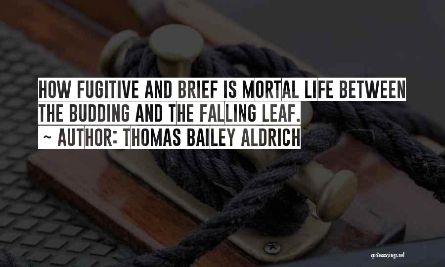 Aldrich Quotes By Thomas Bailey Aldrich