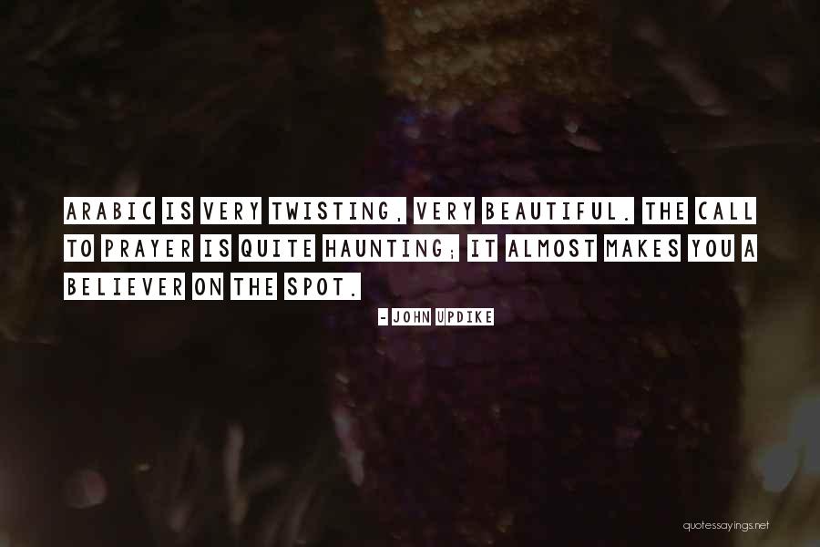 Aldrin Justice Quotes By John Updike Aldrin Justice Quotes By John Updike