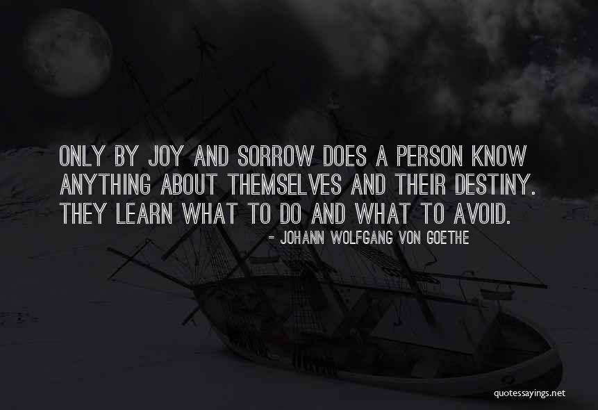 Aldult Toy Quotes By Johann Wolfgang Von Goethe Aldult Toy Quotes By Johann Wolfgang Von Goethe