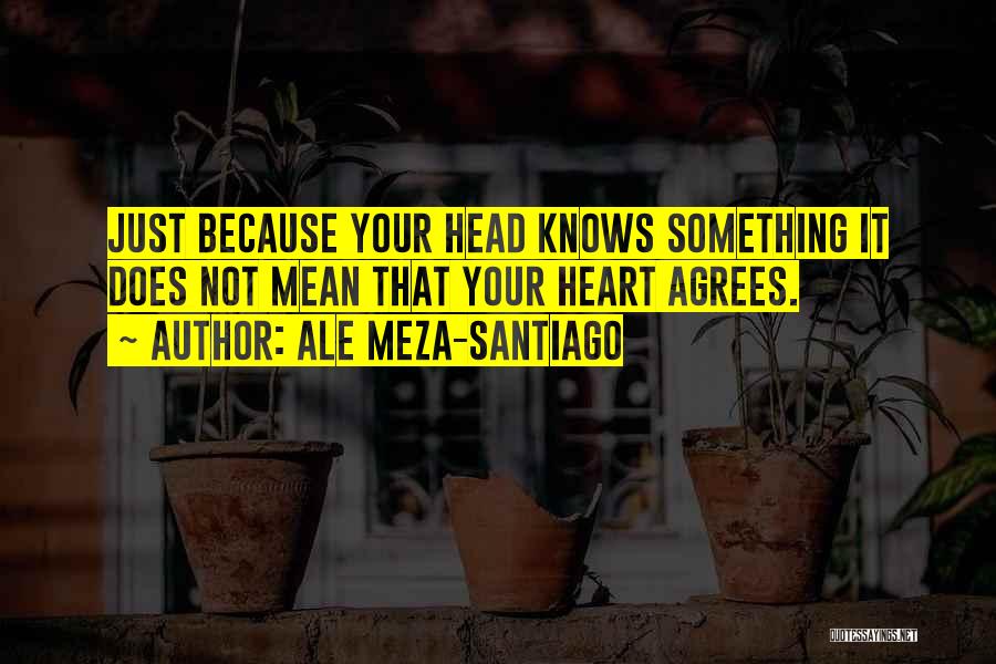 Ale Meza-Santiago Quotes 996337