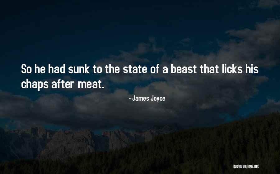 Aleacion Definicion Quotes By James Joyce Aleacion Definicion Quotes By James Joyce
