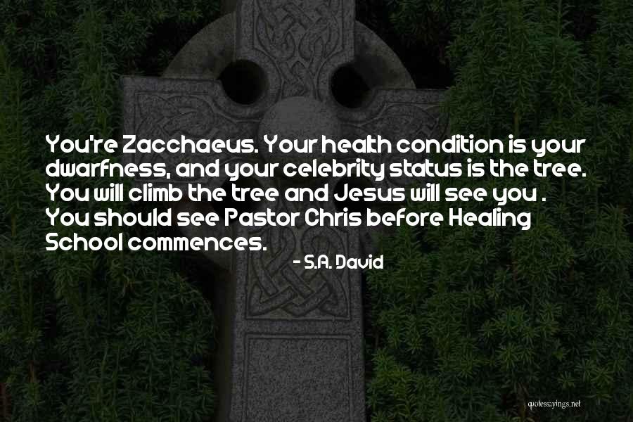 Aleargo Quotes By S.A. David Aleargo Quotes By S.A. David