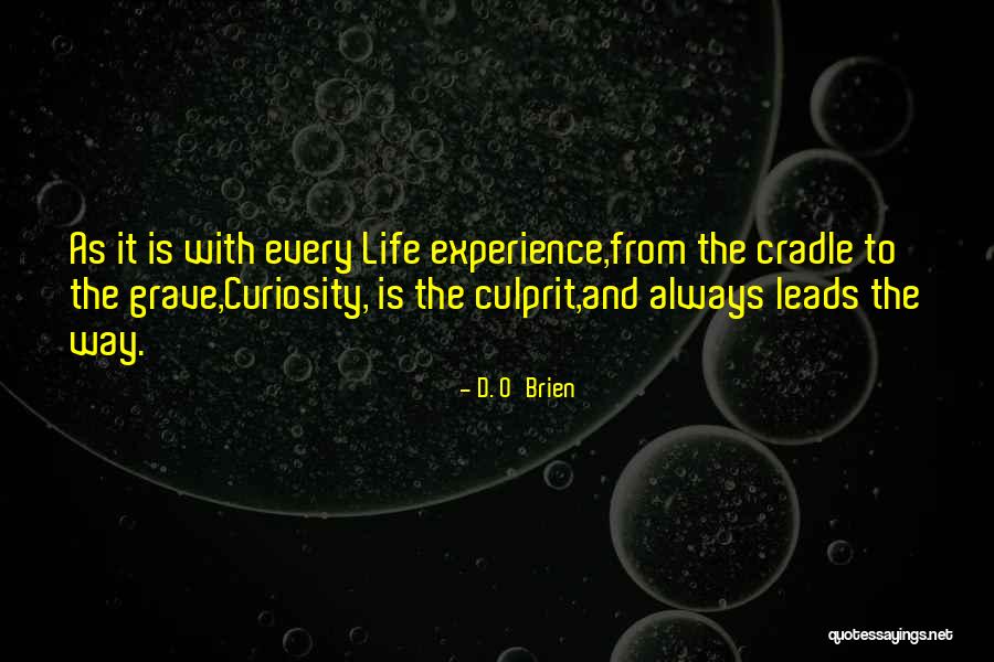 Aleatoriu Definitie Quotes By D. O'Brien Aleatoriu Definitie Quotes By D. O'Brien