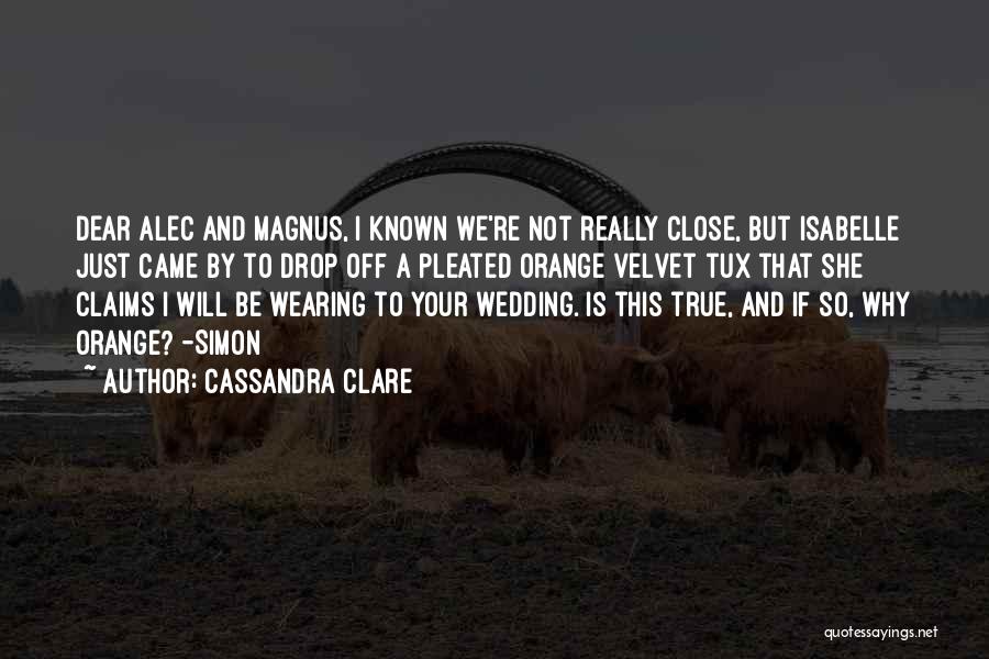 Alec And Magnus Quotes By Cassandra Clare