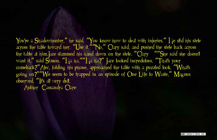 Alec And Magnus Quotes By Cassandra Clare