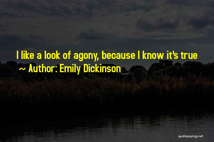 Aleccionar Significado Quotes By Emily Dickinson