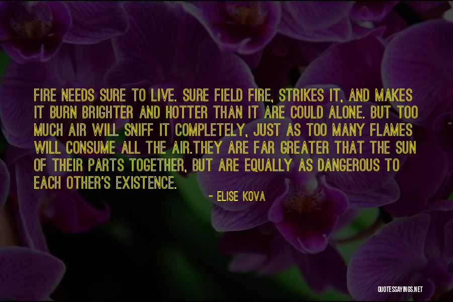 Alecsander Luke Quotes By Elise Kova Alecsander Luke Quotes By Elise Kova
