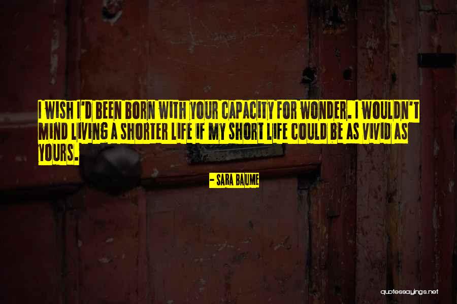 Alegraswindow Quotes By Sara Baume Alegraswindow Quotes By Sara Baume