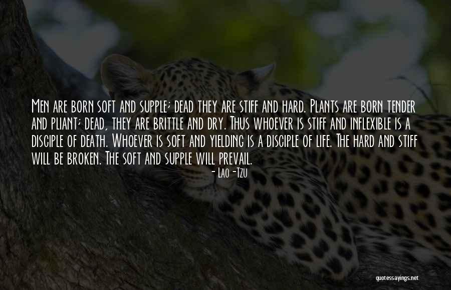 Alejandrino Poesia Quotes By Lao-Tzu Alejandrino Poesia Quotes By Lao-Tzu