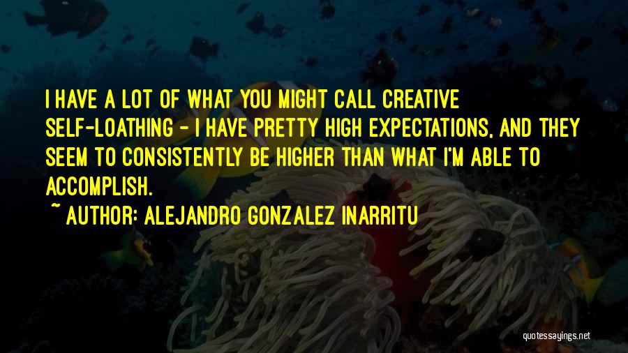 Alejandro Gonzalez Inarritu Quotes 1100330