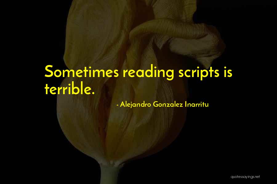 Alejandro Gonzalez Inarritu Quotes 1453512