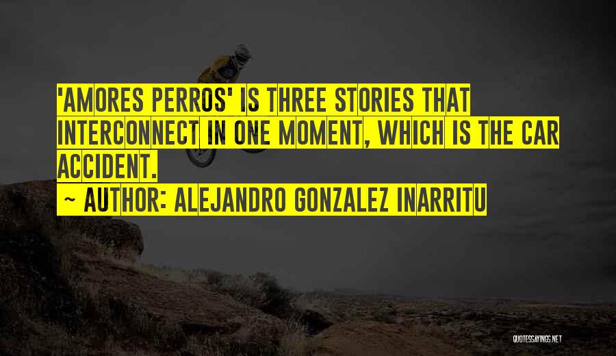 Alejandro Gonzalez Inarritu Quotes 596076