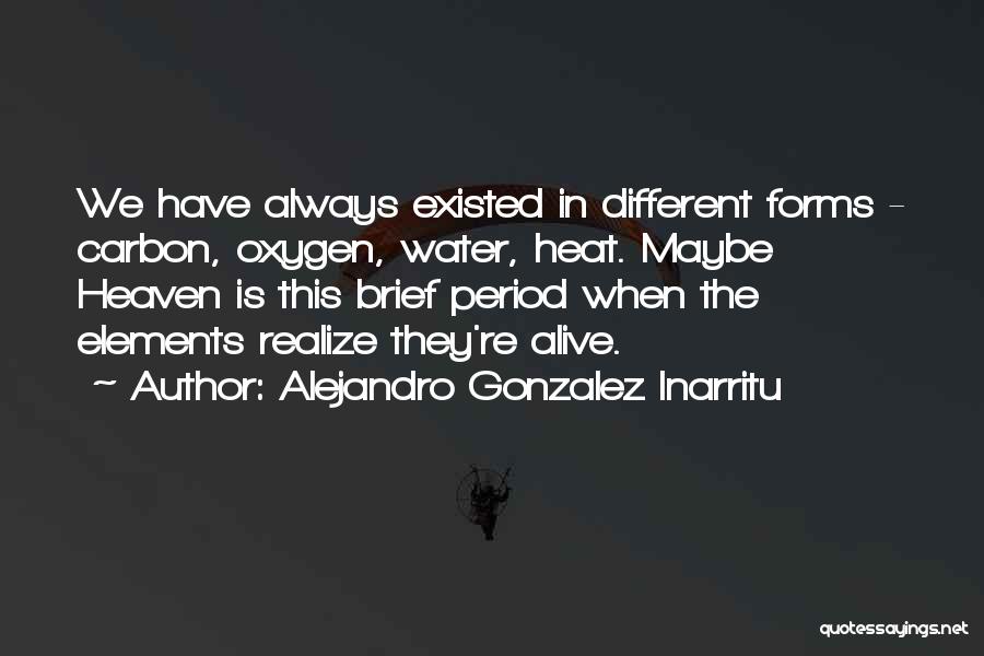Alejandro Gonzalez Inarritu Quotes 606311