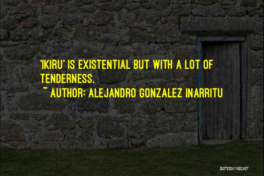 Alejandro Gonzalez Inarritu Quotes 674178