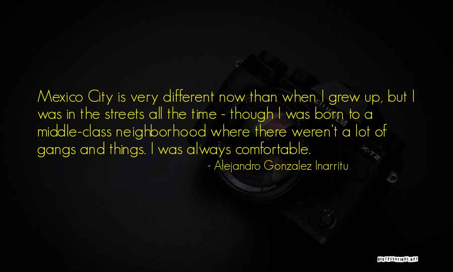 Alejandro Gonzalez Inarritu Quotes 763944