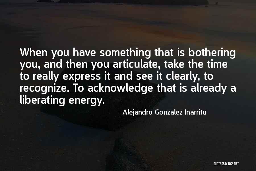 Alejandro Gonzalez Inarritu Quotes 833439