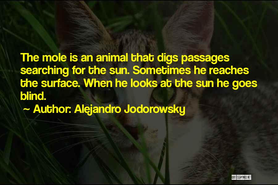 Alejandro Jodorowsky Quotes 1267207