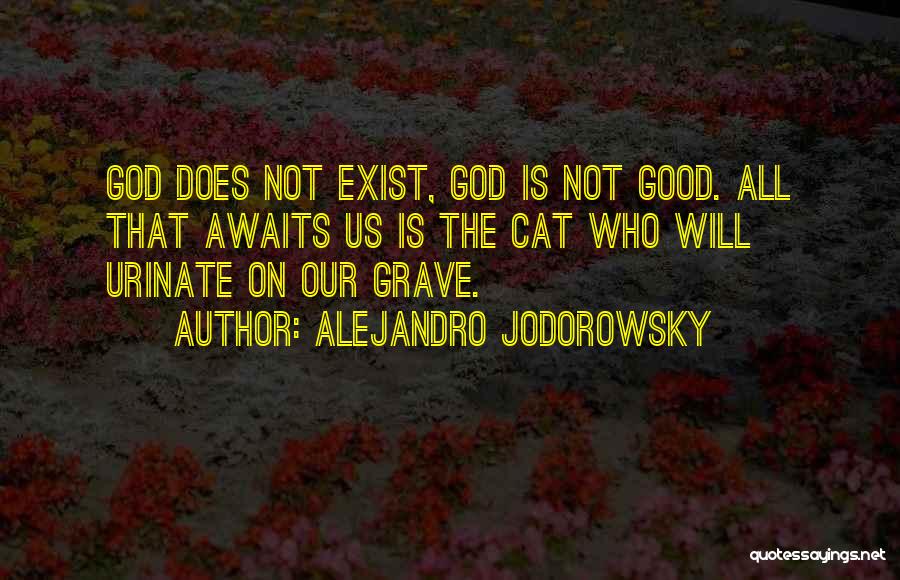 Alejandro Jodorowsky Quotes 1881583