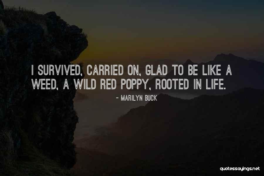 Alejas Projekti Quotes By Marilyn Buck Alejas Projekti Quotes By Marilyn Buck