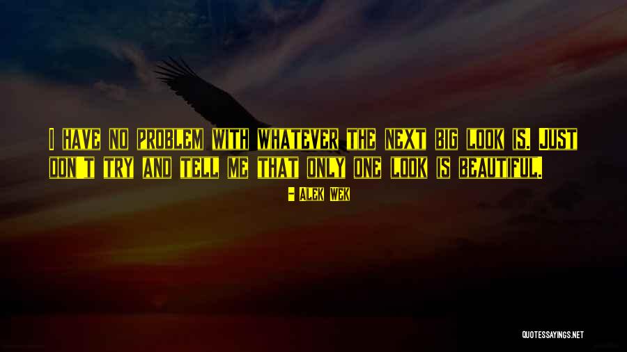 Alek Wek Quotes 1001347