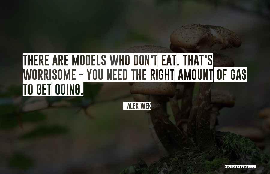Alek Wek Quotes 1975108