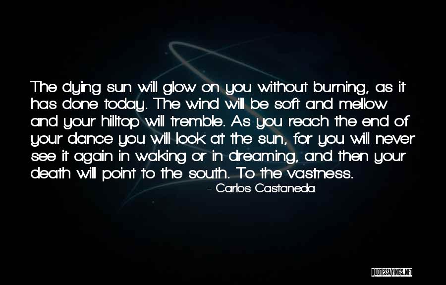 Alekper Rustamov Quotes By Carlos Castaneda Alekper Rustamov Quotes By Carlos Castaneda