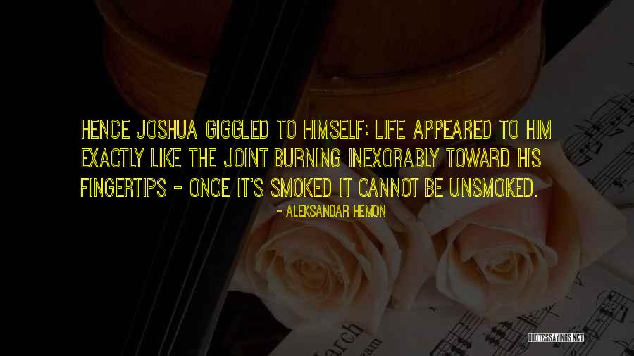 Aleksandar Hemon Quotes 1276550 Aleksandar Hemon Quotes 1276550