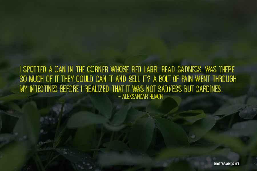 Aleksandar Hemon Quotes 1857490 Aleksandar Hemon Quotes 1857490