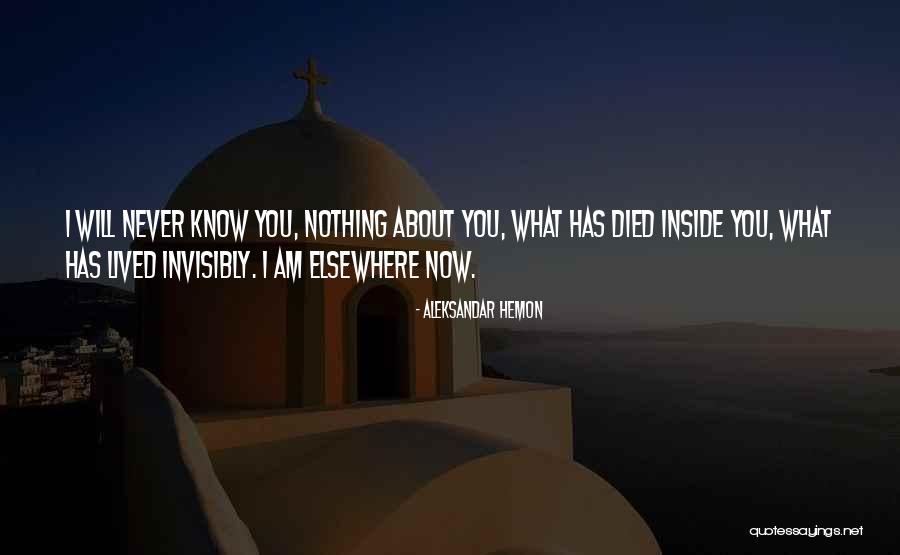 Aleksandar Hemon Quotes 1983867 Aleksandar Hemon Quotes 1983867