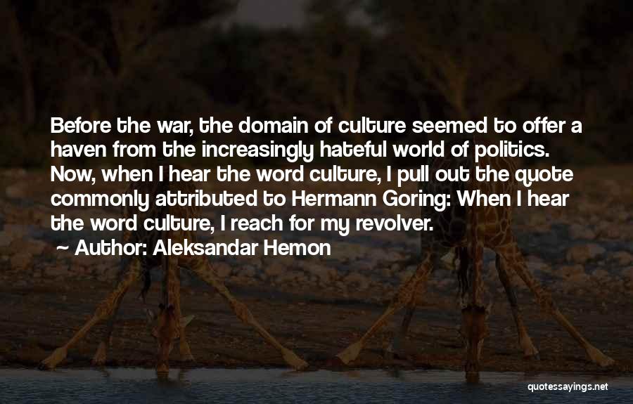 Aleksandar Hemon Quotes 2201627