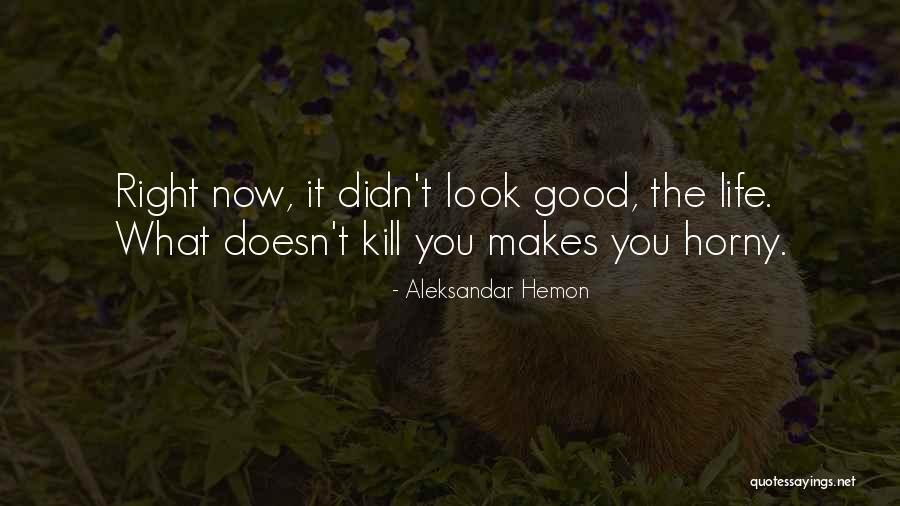 Aleksandar Hemon Quotes 540613 Aleksandar Hemon Quotes 540613