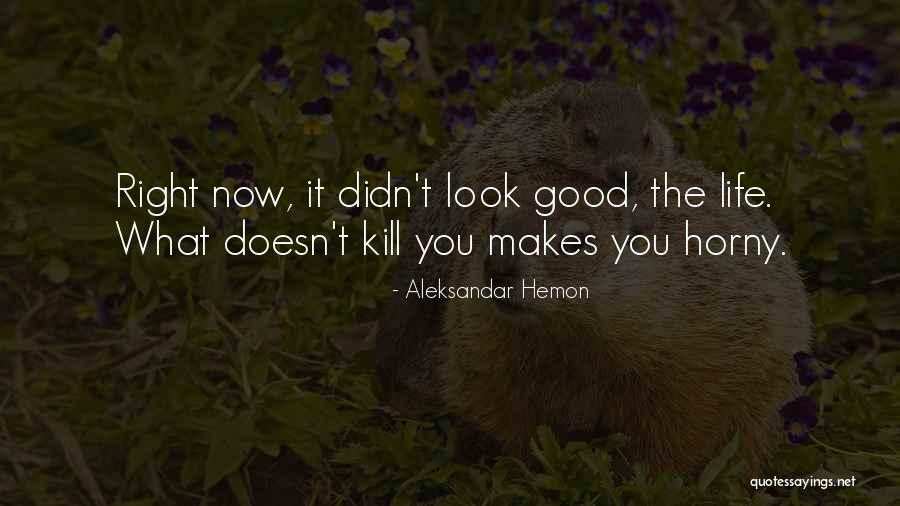 Aleksandar Hemon Quotes 540613