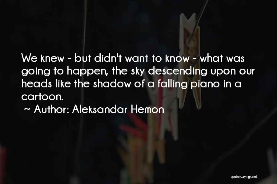 Aleksandar Hemon Quotes 870273
