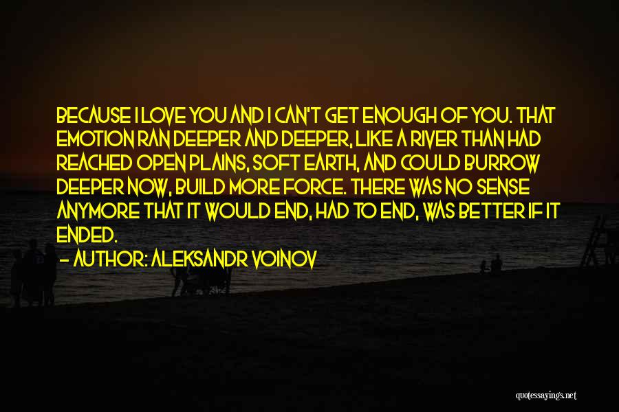 Aleksandr Voinov Quotes 1736560