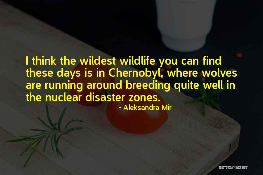 Aleksandra Mir Quotes 885548 Aleksandra Mir Quotes 885548