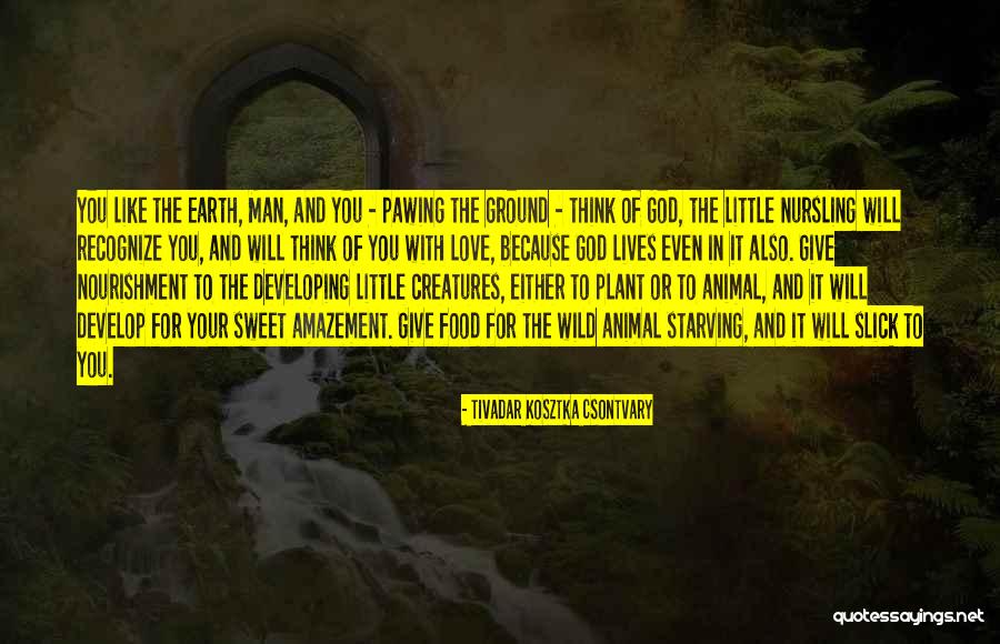 Aleksandrovic Doo Quotes By Tivadar Kosztka Csontvary Aleksandrovic Doo Quotes By Tivadar Kosztka Csontvary