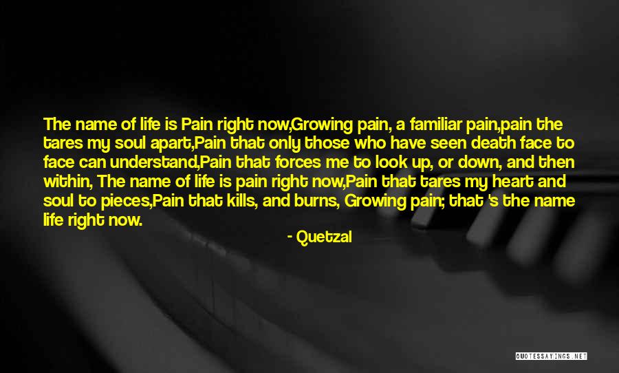 Alemde 1 Quotes By Quetzal Alemde 1 Quotes By Quetzal