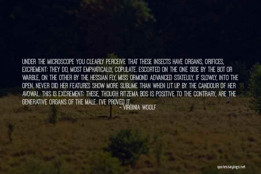 Alenka Rios Quotes By Virginia Woolf Alenka Rios Quotes By Virginia Woolf