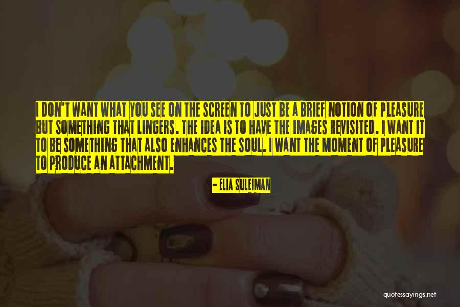 Aleqsandre Didi Quotes By Elia Suleiman Aleqsandre Didi Quotes By Elia Suleiman