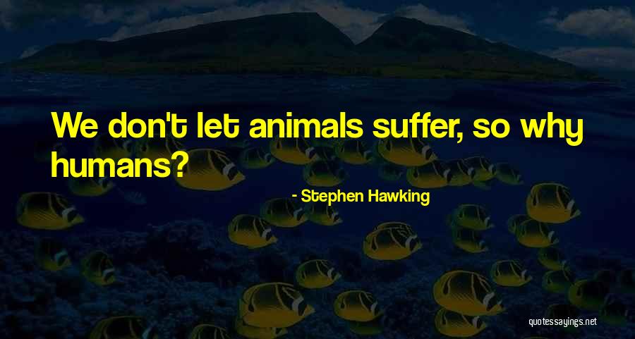 Alergatoare Quotes By Stephen Hawking Alergatoare Quotes By Stephen Hawking